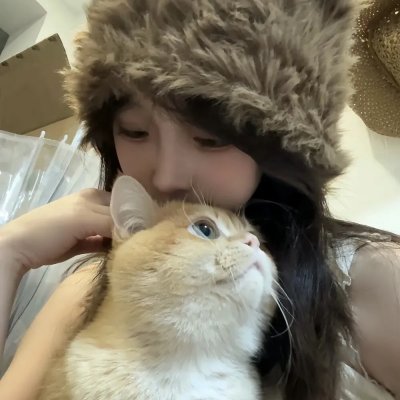 笨金鱼封面